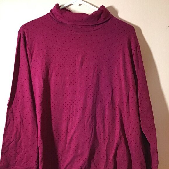 Talbot's Turtleneck - Picture 1 of 3